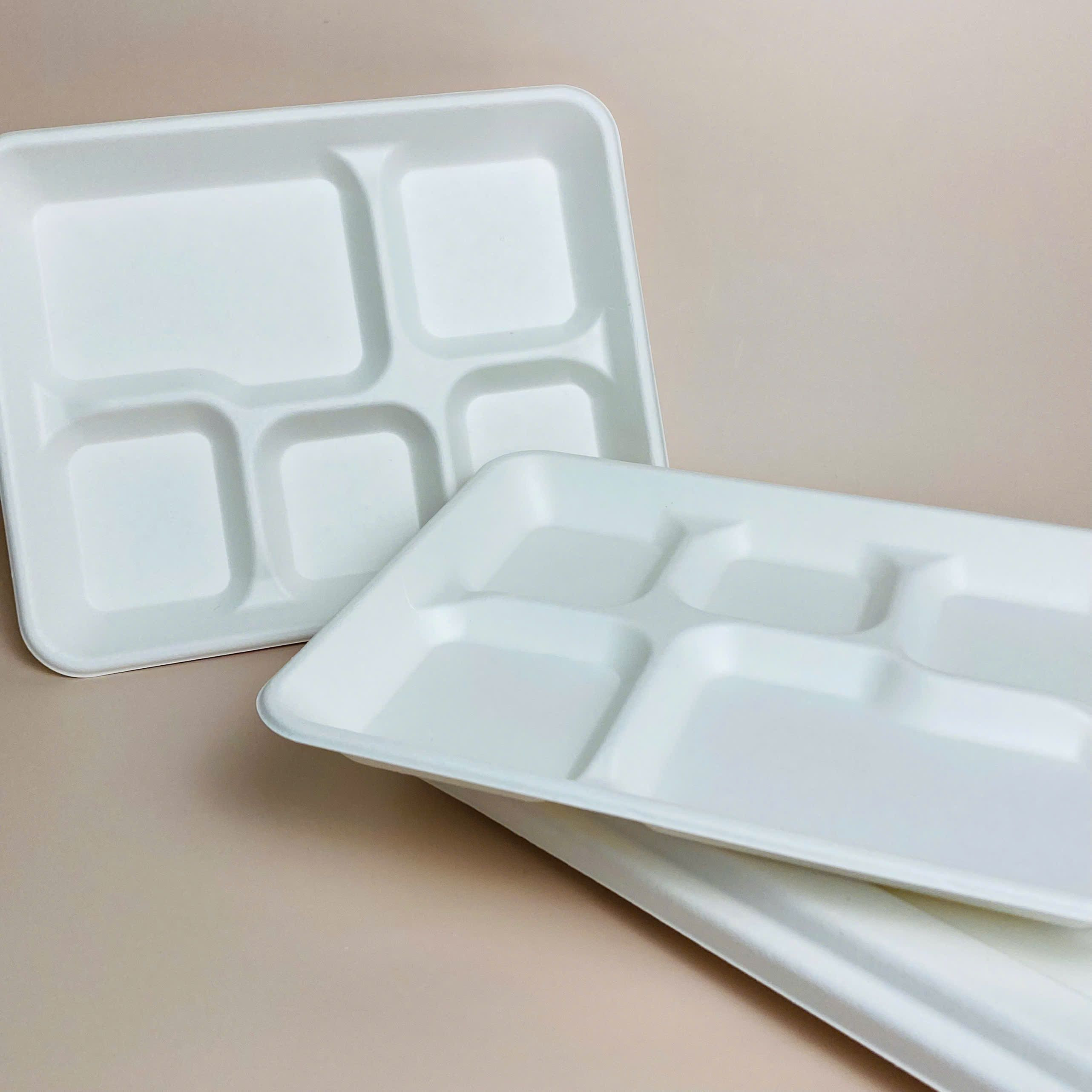 Sugarcane bagasse box