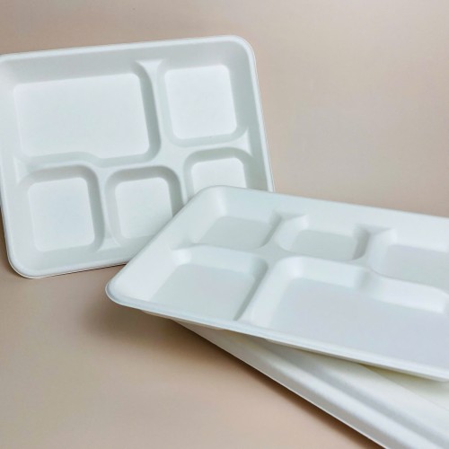 Sugarcane bagasse box